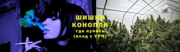PSILOCYBIN Алексин