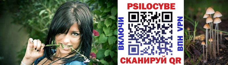 Псилоцибиновые грибы Psilocybine cubensis  Чайковский 