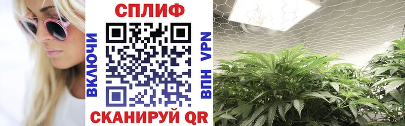 Бошки Шишки VHQ  Чайковский 